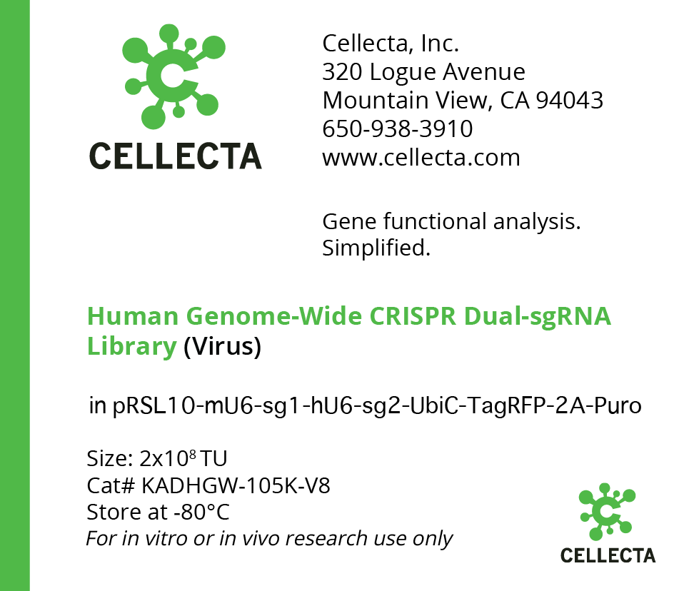 Human Genome-Wide CRISPRa Dual-sgRNA Library