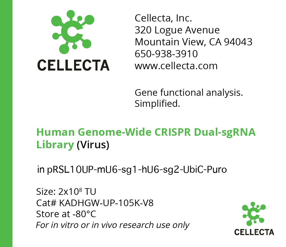 Human Genome-Wide CRISPRa Dual-sgRNA Library