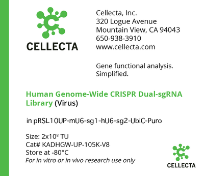 Human Genome-Wide CRISPRa Dual-sgRNA Library