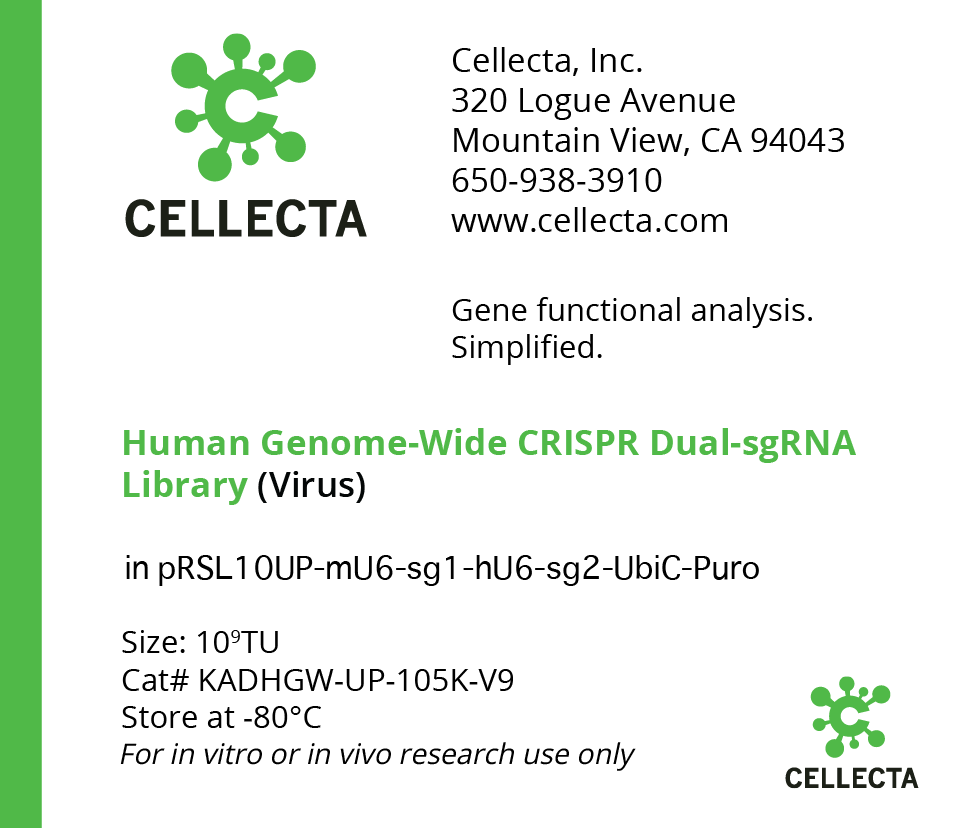 Human Genome-Wide CRISPRa Dual-sgRNA Library