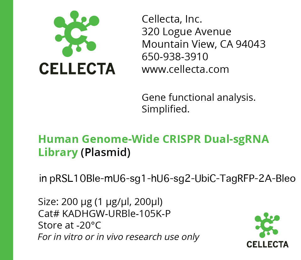 Human Genome-Wide CRISPRa Dual-sgRNA Library