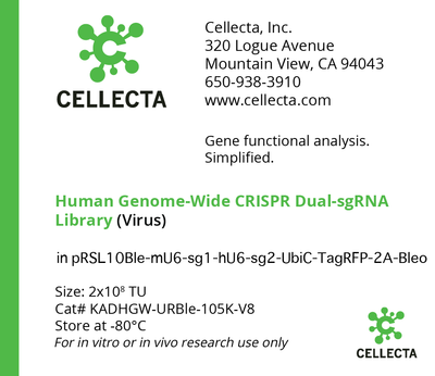 Human Genome-Wide CRISPRa Dual-sgRNA Library