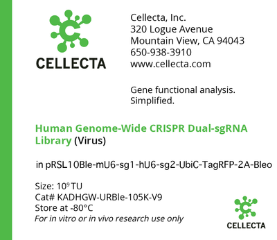 Human Genome-Wide CRISPRa Dual-sgRNA Library