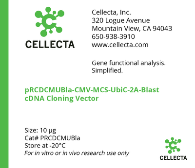 Cellecta pRCDCMUBla-CMV-MCS-UbiC-2A-Blast cDNA Cloning Vector PRCDCMUBla