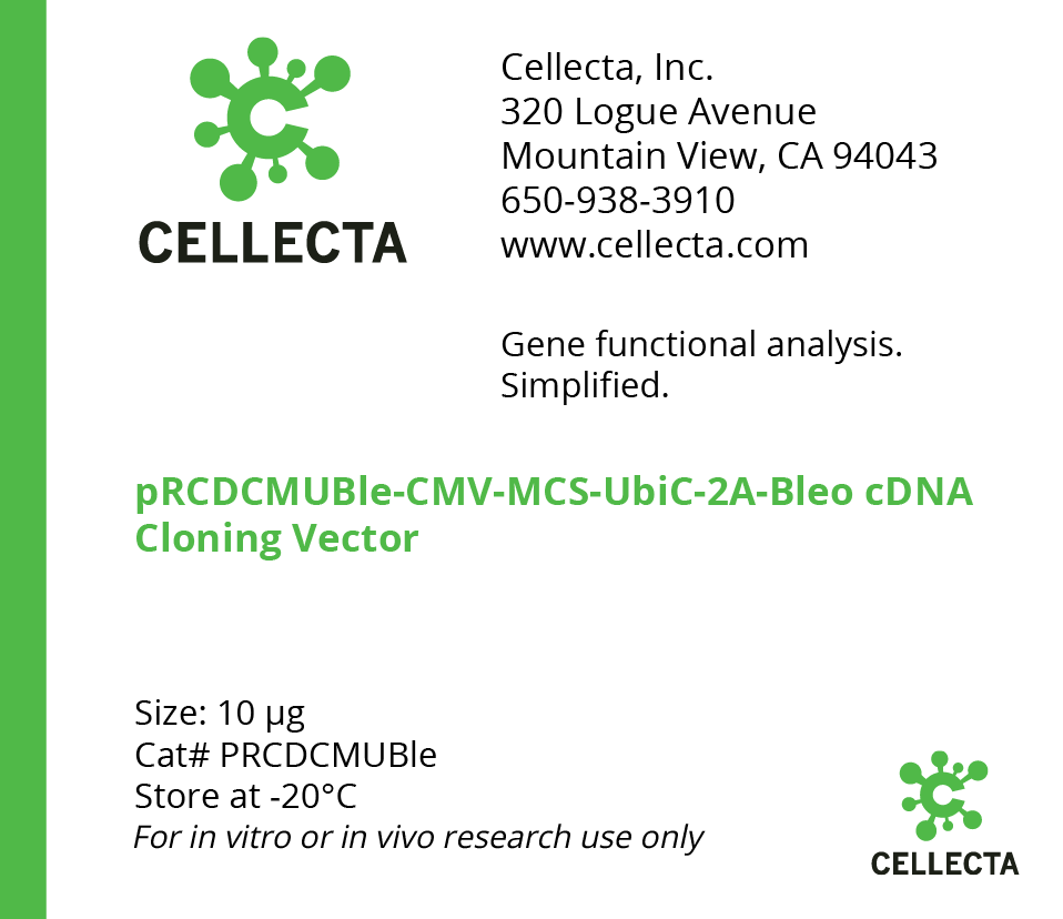cDNA Cloning Vector with CMV Promoter (CMV-MCS-UbiC-selection)