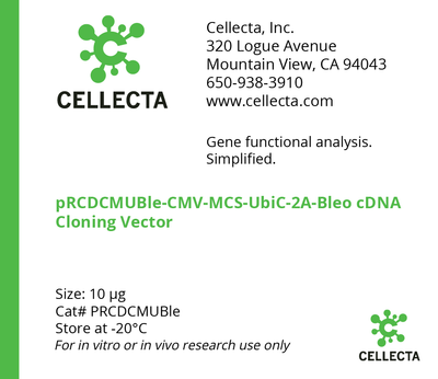 cDNA Cloning Vector with CMV Promoter (CMV-MCS-UbiC-selection)