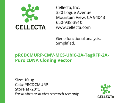 cDNA Cloning Vector with CMV Promoter (CMV-MCS-UbiC-selection)
