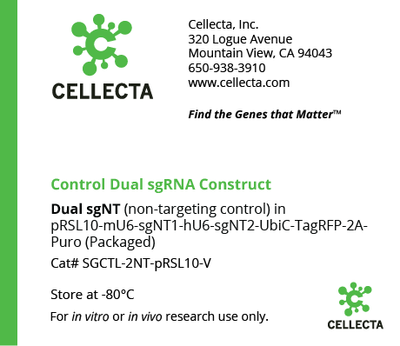 CRISPR Dual-sgRNA Non-Targeting Control Construct (no Cas9)