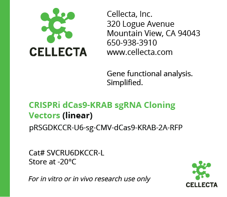 CRISPRi dCas9-KRAB sgRNA Cloning Vectors (linearized, ready-for-cloning)
