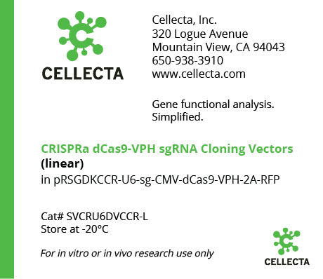 CRISPRa dCas9-VPH sgRNA Cloning Vectors (linearized, ready-for-cloning)