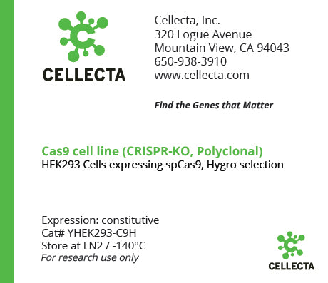 Cas9-Expressing Cell Lines for CRISPR KO