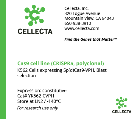 dCas9-Expressing Cell Lines for CRISPRa