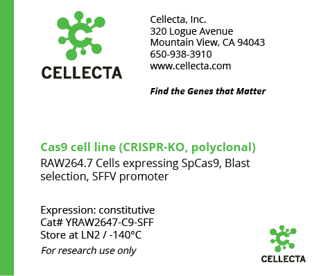 Cas9-Expressing Cell Lines for CRISPR KO - YRAW2647-C9-SFF