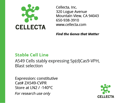 dCas9-Expressing Cell Lines for CRISPRa - ZA549-CVPR