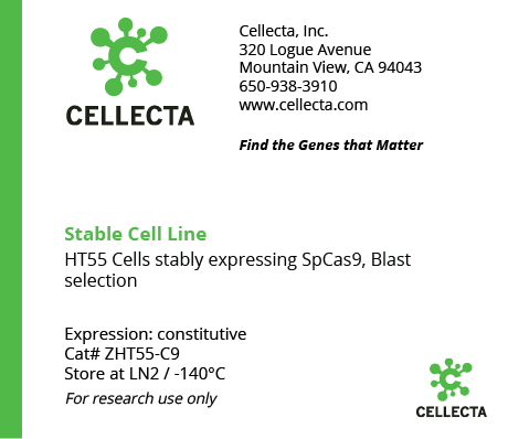 Cas9-Expressing Cell Lines for CRISPR KO - ZHT55-C9