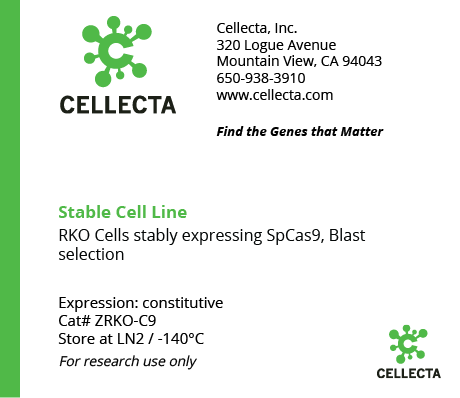 Cas9-Expressing Cell Lines for CRISPR KO - ZRKO-C9