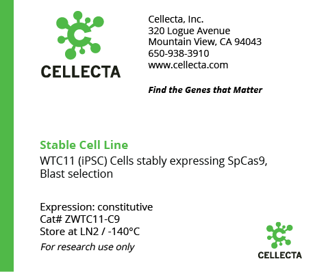 Cas9-Expressing Cell Lines for CRISPR KO - ZWTC11-C9