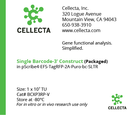 Singla Barcode-3' Construct (Packaged) BCXP3RP-V
