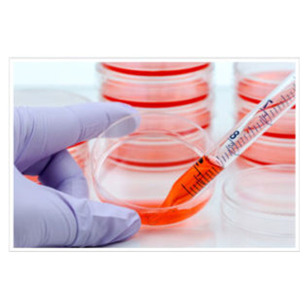 Custom Cas9 and dCas9-Variant Cell Lines