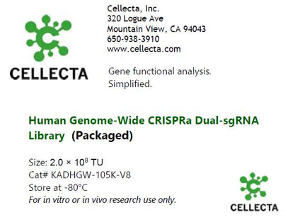 Cellecta Human dual-guide CRISPRa library-packaged KADHGW-105K-V8