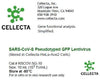 Cellecta SARS-CoV2 Pseudotyped GFP Lentivirus RSCOV-SG-10