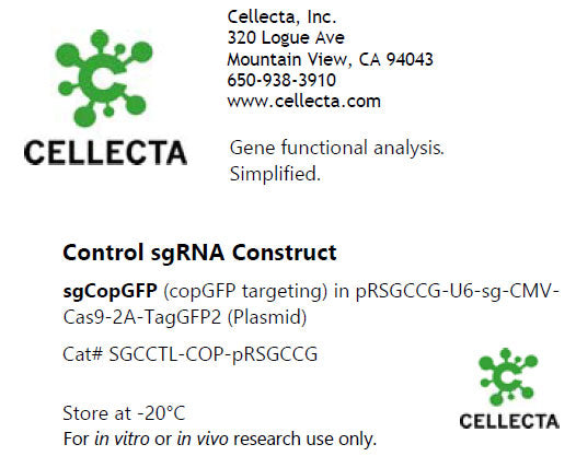 Cellecta Control sgRNA Construct SGCCTL-COP-pRSGCCG