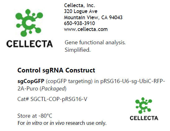 Cellecta Control sgRNA Construct SGCTL-COP-pRSG16-V