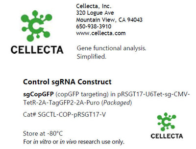 Cellecta Control sgRNA Construct SGCTL-COP-pRSGT17-V