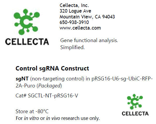 Cellecta Control sgRNA Construct SGCTL-NT-pRSG16-V