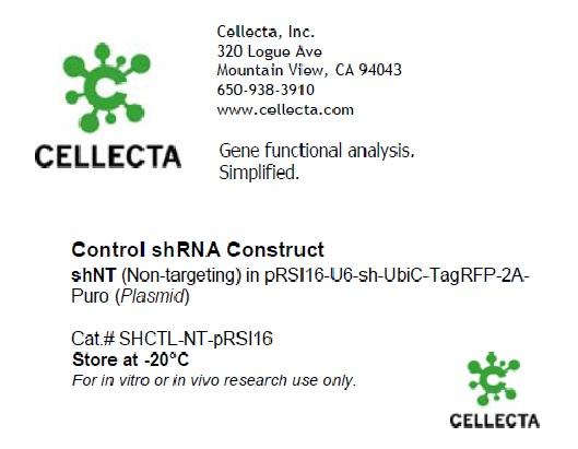 Cellcta Control shRNA Construct shNT SHCTL-NT-pRSI16