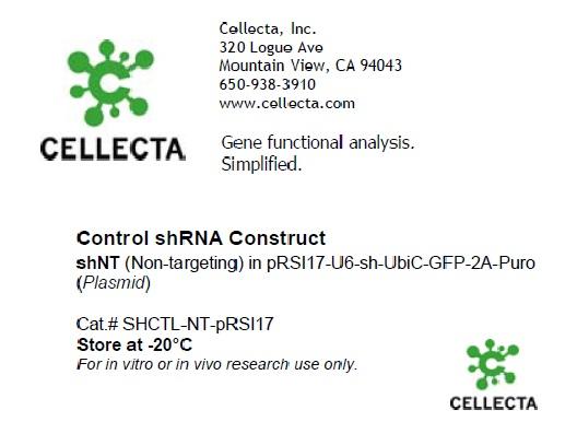 Cellecta Control shRNA Construct shNT SHCTL-NT-pRSI17