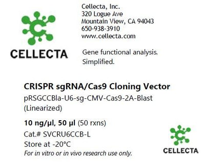 CRISPR sgRNA Vector with U6 Promoter and Cas9 (linearized, ready-for-cloning)
