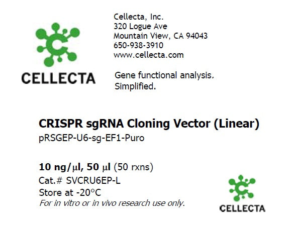 CRISPR sgRNA Vector with U6 Promoter and Cas9 (linearized, ready-for-cloning)