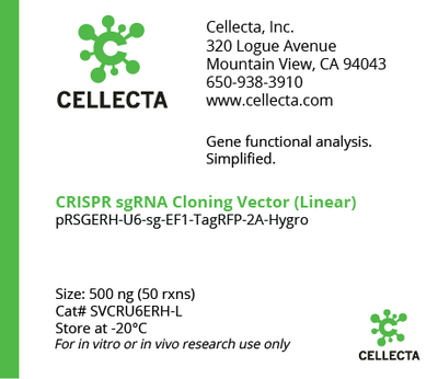 Cellecta CRISPR sgRNA Cloning Vector (Linear) SVCRU6ERH-L