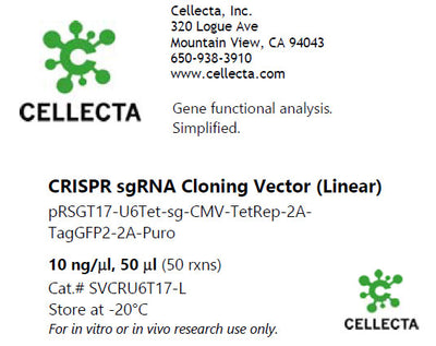 Cellecta CRISPR sgRNA Cloning Vector (Linear) SVCRU6T17-L