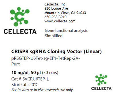 Cellecta CRISPR sgRNA Cloning Vector (Linear) SVCRU6TEP-L