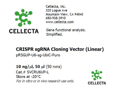 Cellecta CRISPR sgRNA Cloning Vector (Linear) SVCRU6UP-L