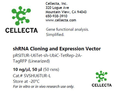 Cellecta shRNA Cloning and Expression Vector SVSHU6TUR-L