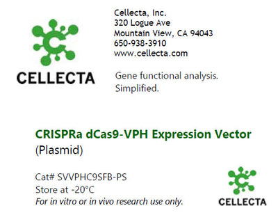 Cellecta CRISPRa dCas9-VPH Expression Vector (Plasmid) SVVPHC9SFB-PS