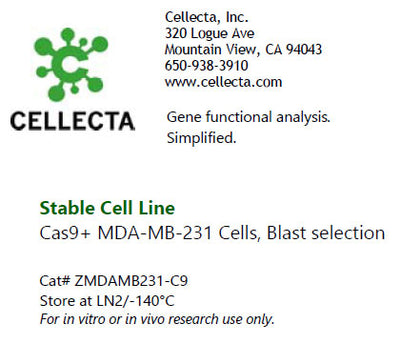 Cellecta Stable Cell Line ZMDAMB231-C9