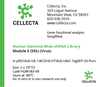 Cellecta Human Genome-Wide shRNA Library Module 3 (55K) (Virus) HGW-M3-V8