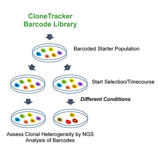 CloneTracker Barcode Libraries and Kits