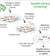 Related Items CRISPR / RNAi Screening Services