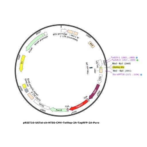 Next-Gen Sequencing of CRISPR/RNAi and Barcode Libraries - Cellecta