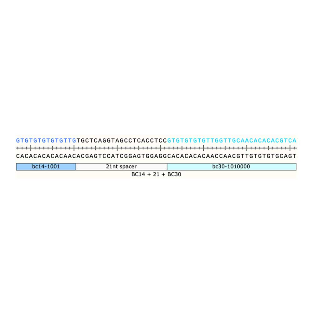 CloneTracker Single Barcode Contructs to Label Cell Populations