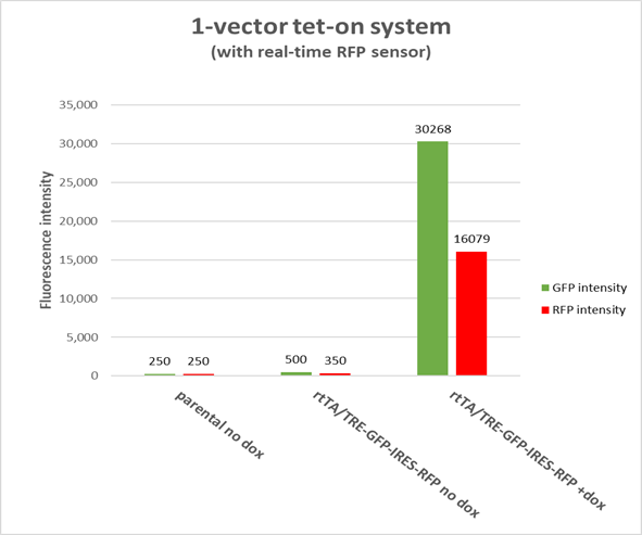 Tet-Inducible Systems and Vectors