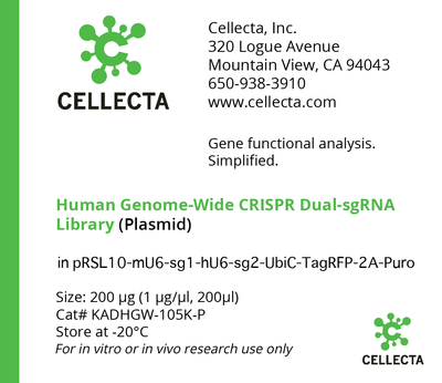 Human Genome-Wide CRISPRa Dual-sgRNA Library