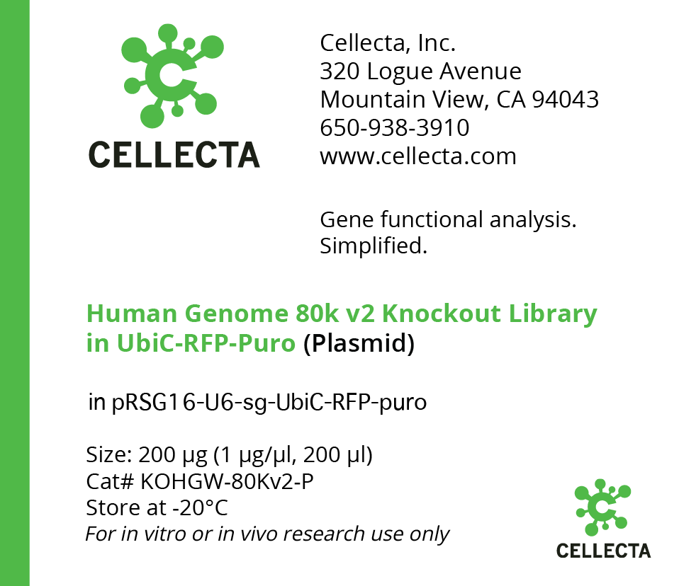 CRISPR Human Genome 80K Knockout Libraries