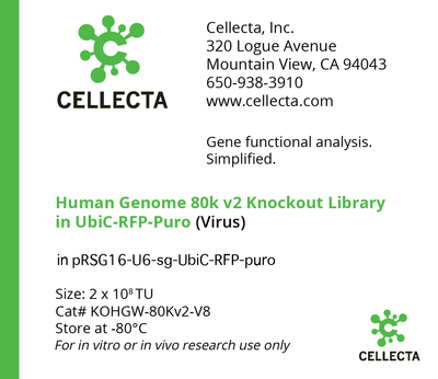 CRISPR Human Genome 80K Knockout Libraries