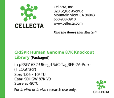 CRISPR Human Genome Knockout Libraries